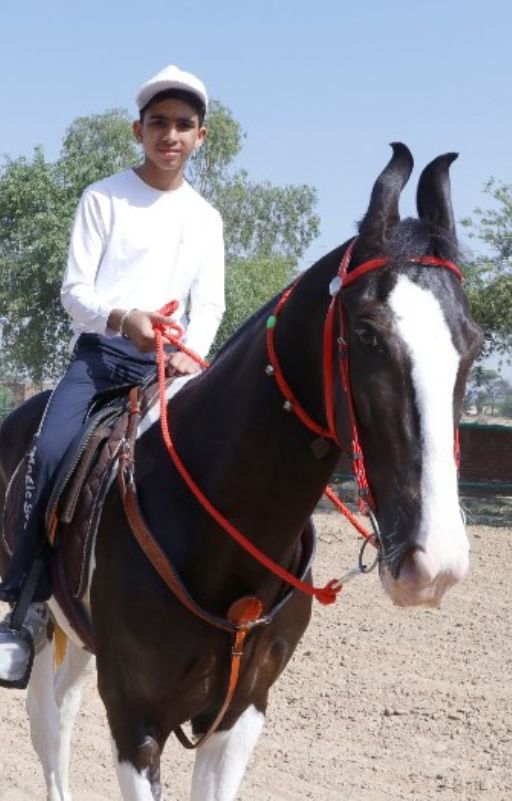 Horse Riding